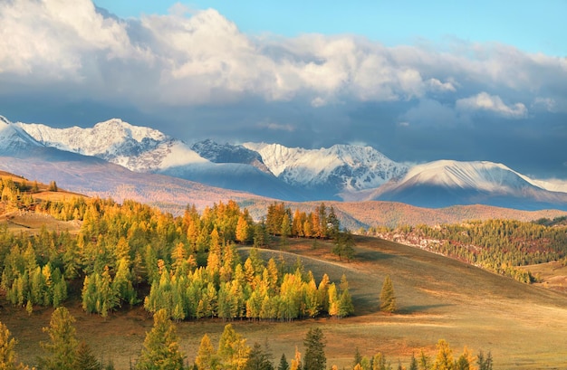 Herbstlandschaft Berge und Wald bewölkt