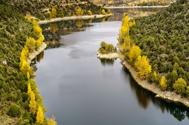 Herbstlandschaft, Canyon River mit grünen, gelben Bäumen. Hoces Duraton River. Spanien.