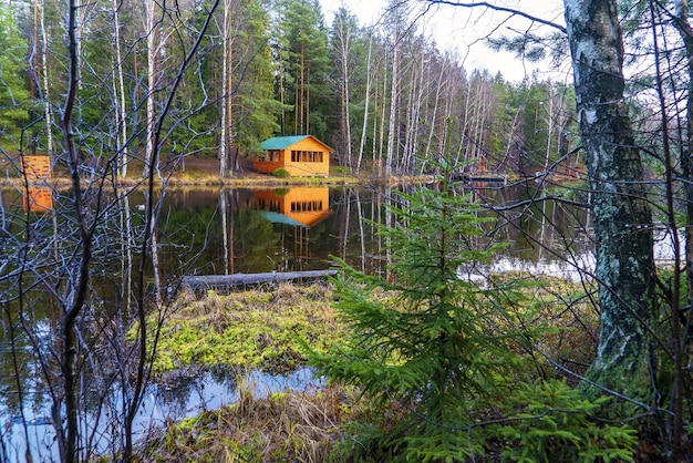 Herbstlandschaft Ein langer See im Rumbolovsky Wald Leningrader Gebiet Vsevolozhsk