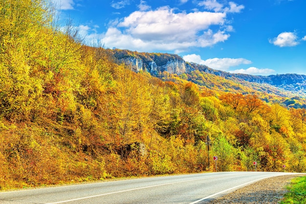 Herbstlandschaft einer Bergschlucht bedeckt mit einem dichten Wald