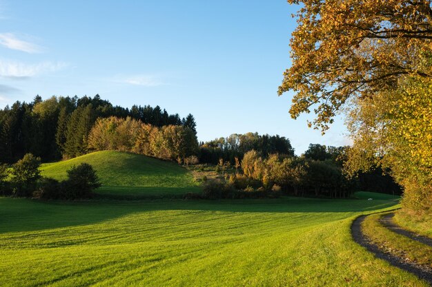 Herbstlandschaft Grasland und Hügel Bayern Deutschland Bayern Deutschland