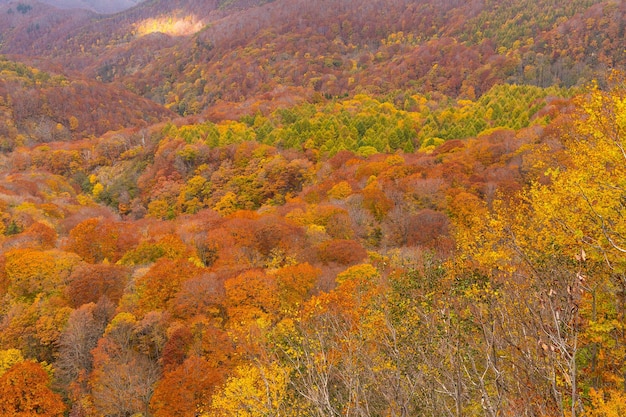 Herbstlandschaft im Berg