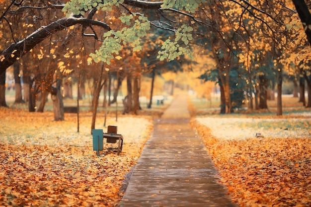 Herbstlandschaft im Park, Blick auf den Hintergrund der gelben Baumallee