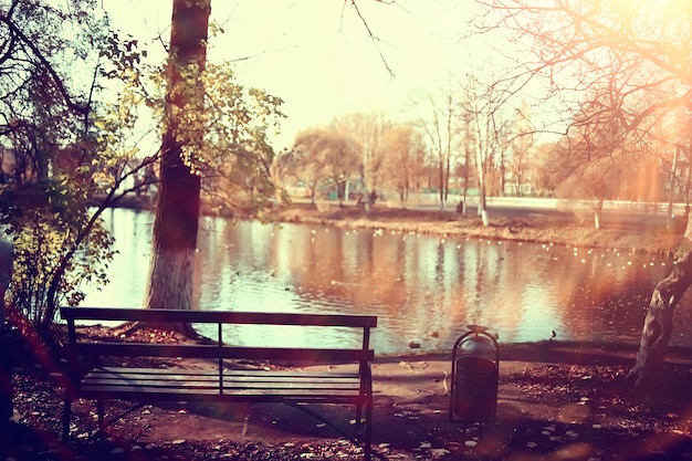 Herbstlandschaft im Park / saisonale gelbe Landschaft Sonniger Park mit abgefallenen Blättern