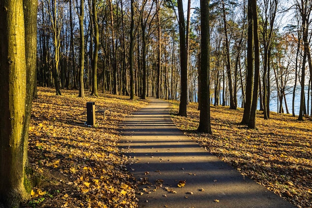 Herbstlandschaft im Stadtpark mit Ruhebank