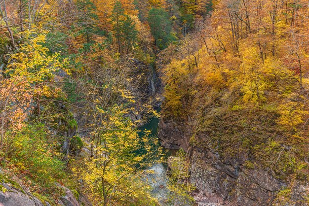 Herbstlandschaft in den Bergen mit einer Schlucht und einem Fluss