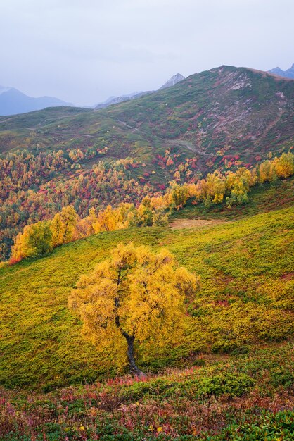 Herbstlandschaft in den Bergen