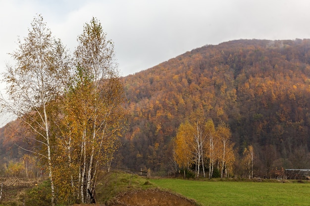 Herbstlandschaft in den westlichen ukrainischen Karpaten