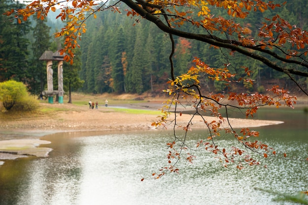 Herbstlandschaft in den westukrainischen Karpaten