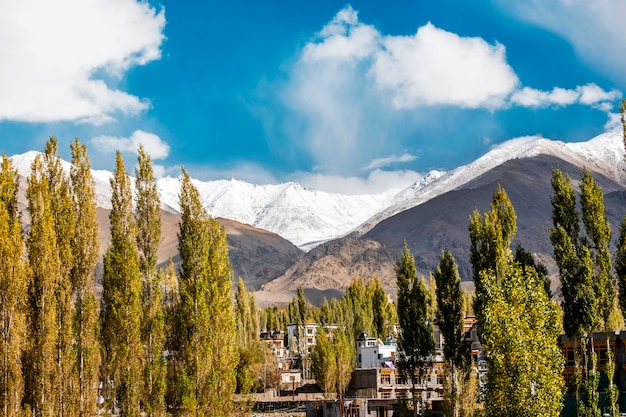 Herbstlandschaft in Leh Ladakh Region, Indien