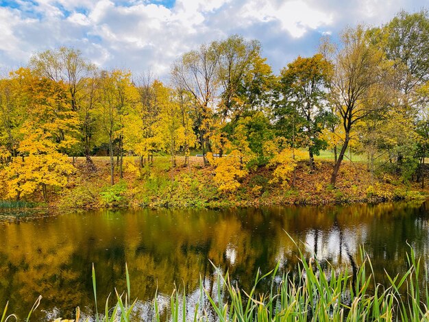 Herbstlandschaft mit Bäumen, Wald und See