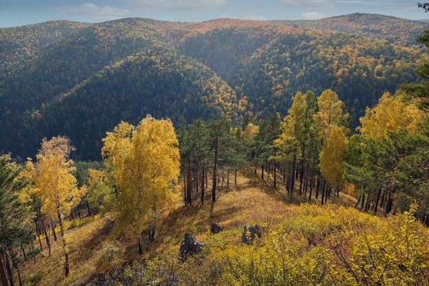 Herbstlandschaft mit Bergen und Wald an einem sonnigen Tag Wechselnde Jahreszeiten