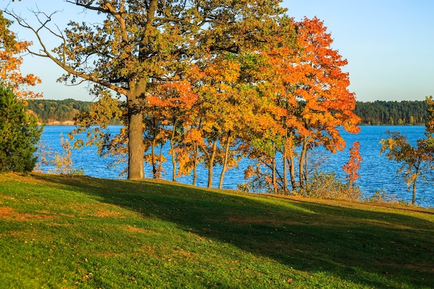 Herbstlandschaft mit bunten Bäumen um den Teich in einem Stadtpark