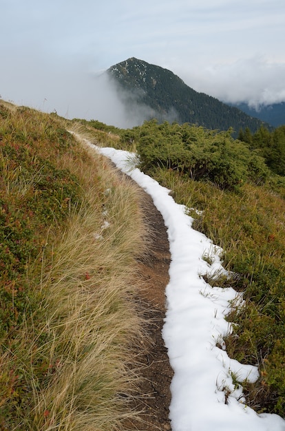 Herbstlandschaft mit dem ersten Schnee. Bewölkter Tag in den Bergen. Karpaten, Ukraine, Europa