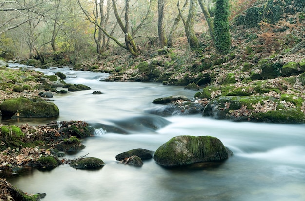 Herbstlandschaft mit einem Fluss umgeben von Bäumen