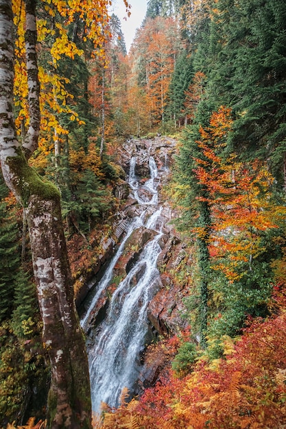 Herbstlandschaft mit einem Waldwasserfall. Schöner heller Herbst im Kaukasus.