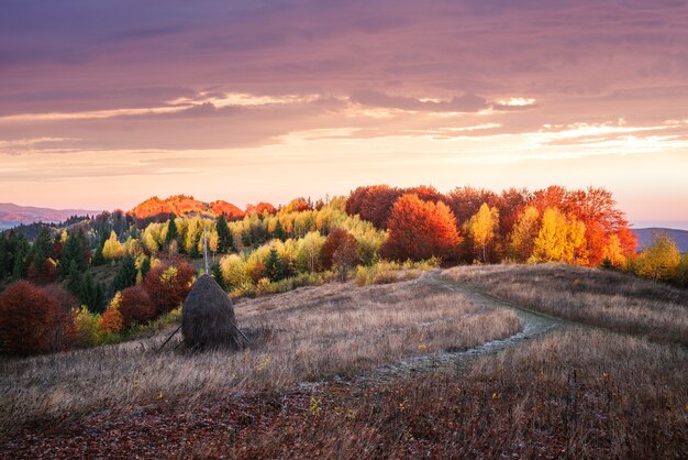 Herbstlandschaft mit Heuhaufen in einem Bergdorf. Blick auf die Landschaft