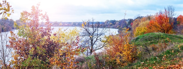 Herbstlandschaft mit Hirschdickicht und Sträuchern im Wald am Ufer des Flusses an einem sonnigen Tag Bunte Herbstblätter an den Bäumen