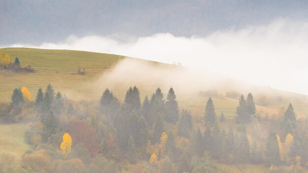 Herbstlandschaft mit Nebel in den Bergen Tannenwald auf den Hügeln Karpaten Ukraine Europa