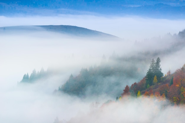 Herbstlandschaft mit Nebel in den Bergen Tannenwald auf den Hügeln Karpaten Ukraine Europa