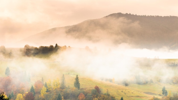 Herbstlandschaft mit Nebel in den Bergen Tannenwald auf den Hügeln Karpaten Ukraine Europa