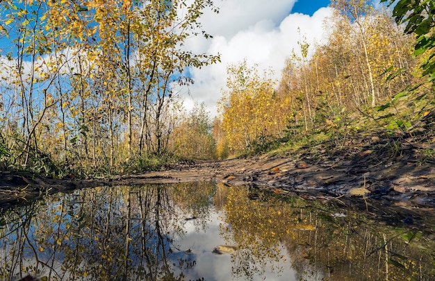 Herbstlandschaft mit Spiegelung im Wasser auf einem Weg im Wald.