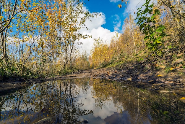 Herbstlandschaft mit Spiegelung im Wasser auf einem Weg im Wald.