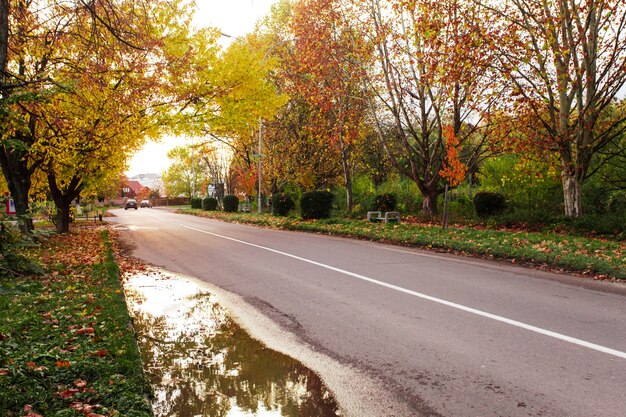 Herbstlandschaft mit Straße und gelben und roten Blättern