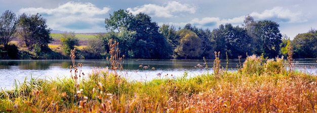 Herbstlandschaft mit vielfältiger Vegetation am Fluss bei sonnigem Wetter