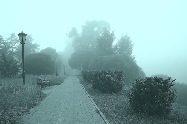 Herbstlandschaft Morgen im Nebel / Gasse im Stadtpark, neblige Landschaft in der Stadt, Bäume in der Stadt