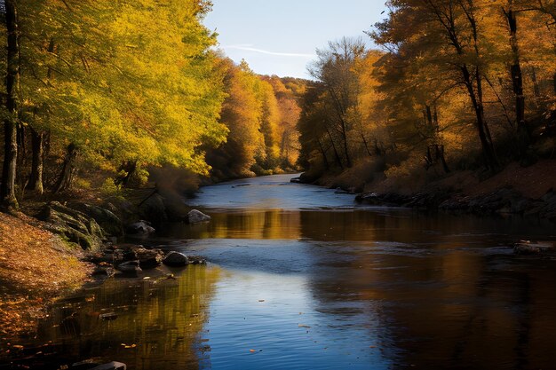 Foto herbstlandschaft professionelle fotofotografie