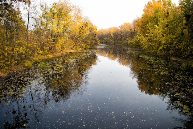 Herbstlandschaft Ruhige Flussoberfläche, die bunte Bäume des Herbstes reflektiert Schöner Herbst