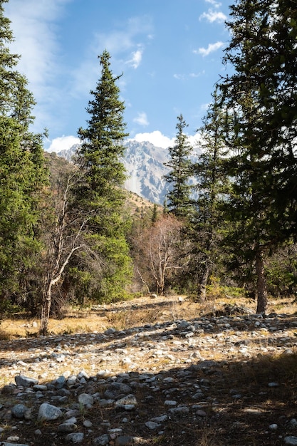 Herbstlandschaft über Bergpass, Nationalpark Ala Arch, Kirgisistan.