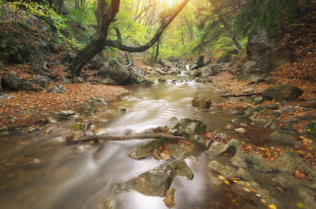 Herbstlandschaft Zusammensetzung der Natur River in Canyon