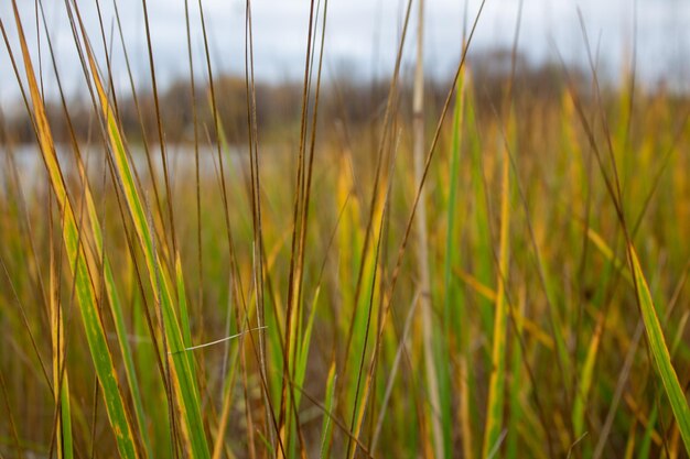 Foto herbstlandschaft