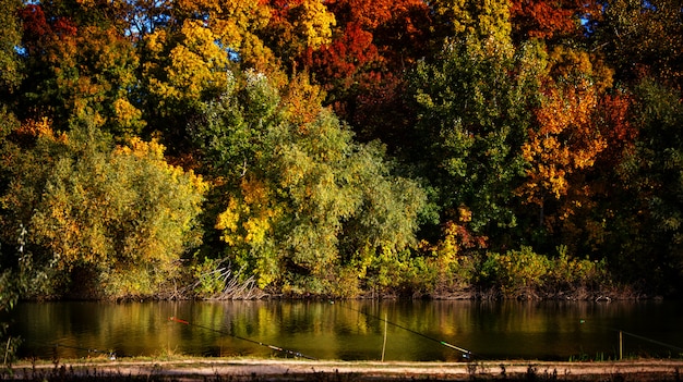 Herbstlandschaft