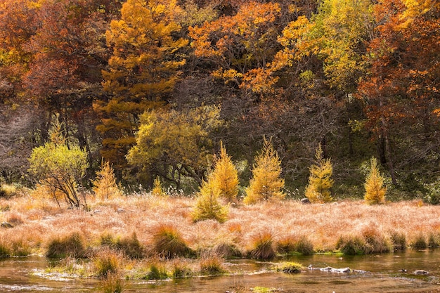 Herbstlandschaft