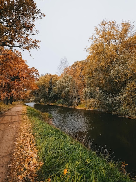 Foto herbstlandschaftspark in der stadt oktober