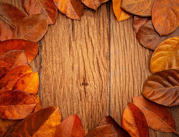 Herbstlaub auf altem hölzernem Hintergrundkopienraum der Weinlese