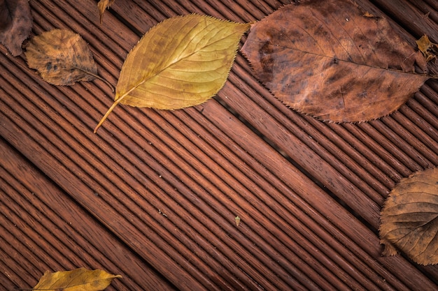 Herbstlaub auf dem Holzboden