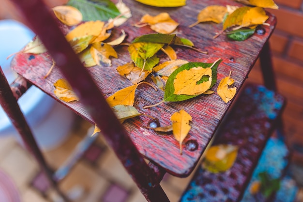 Herbstlaub auf der Gartenmetallleiter. Herbst Hintergrund.