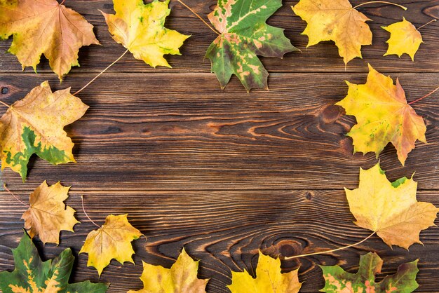 Herbstlaub auf hölzernem Hintergrund.