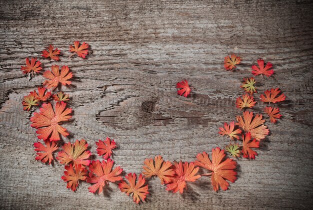 Herbstlaub auf hölzernem Hintergrund