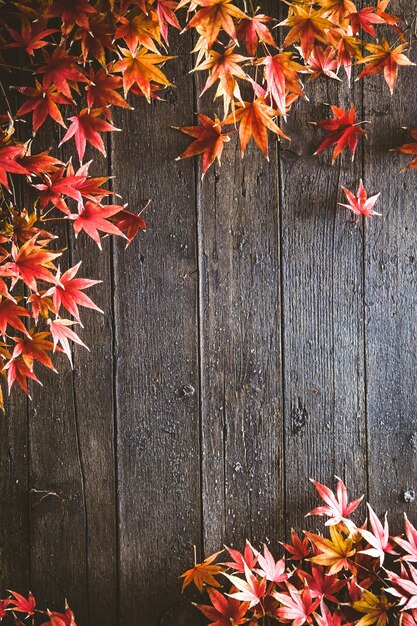 Foto herbstlaub auf holz