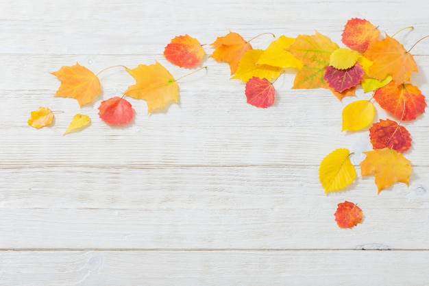 Herbstlaub auf weißer Holzwand