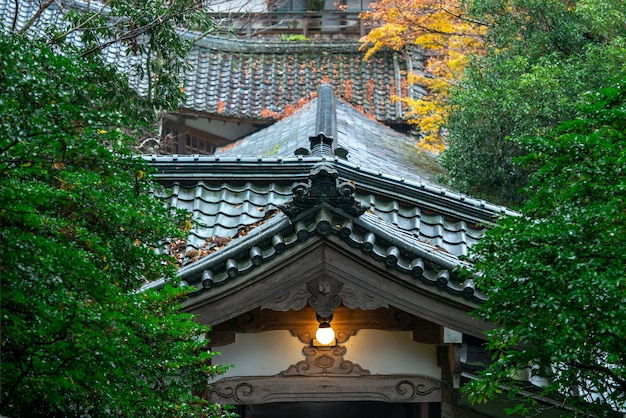 Herbstlaub des japanischen Ahorns (Momiji) am Tempelhintergrund