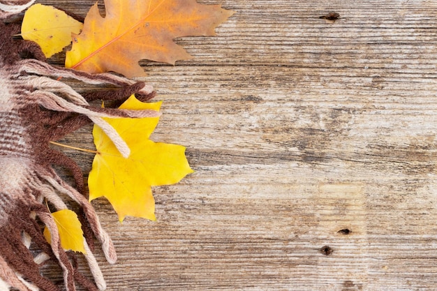 Herbstlaub Herbst Hintergrund