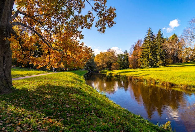 Herbstlaub im Pawlowsky-Park Pawlowsk St. Petersburg Russland