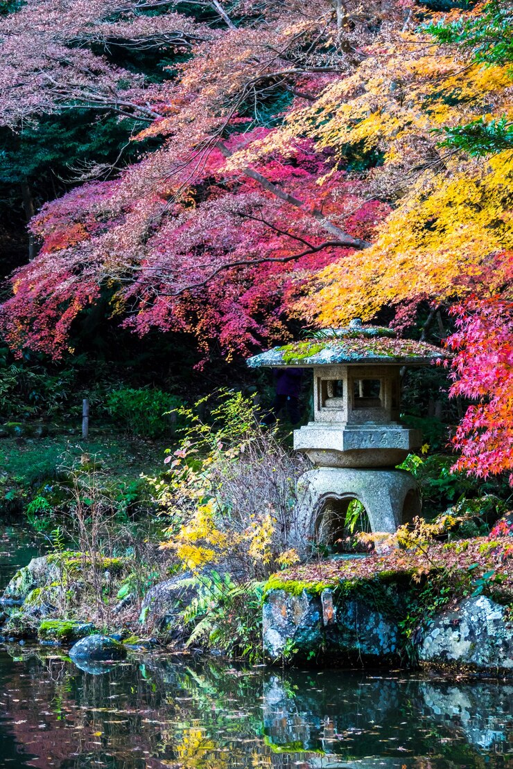 Foto herbstlaub in der herbstsaison japan