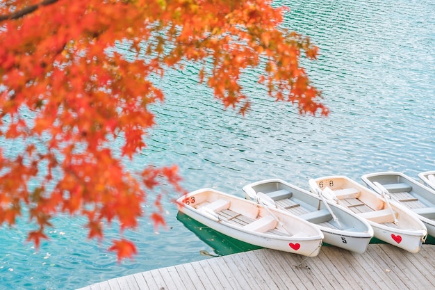 Foto herbstlaub in goshikinuma (fünf vulkanische seen oder fünf farbige seen), ein beliebtes ziel im bandai-hochland im herbst in der präfektur fukushima, japan